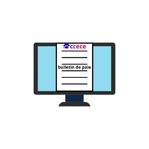 bulletin_de_paie__1_-removebg-preview