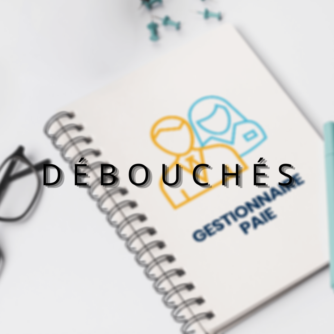 les débouchés (2)