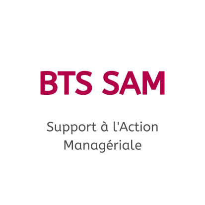 bts sam - support à l'action managérial